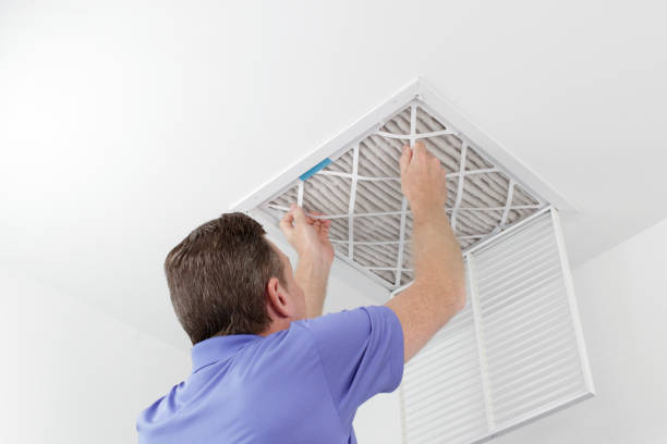 Best Duct Cleaning for Homes  in Cordova, AK